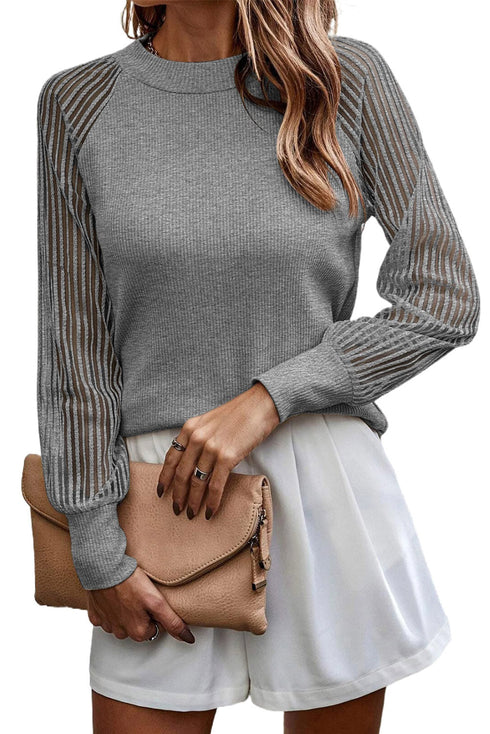 Striped Sheer Ribbed Mesh Long Sleeve Crew Neck Top